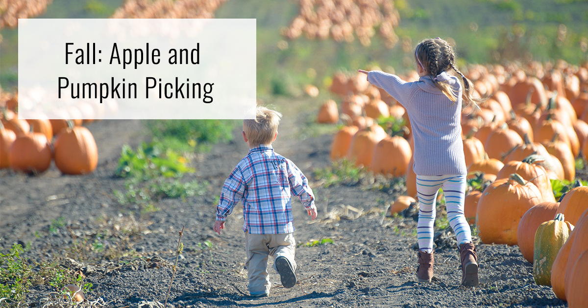 children in a pumpkin patch